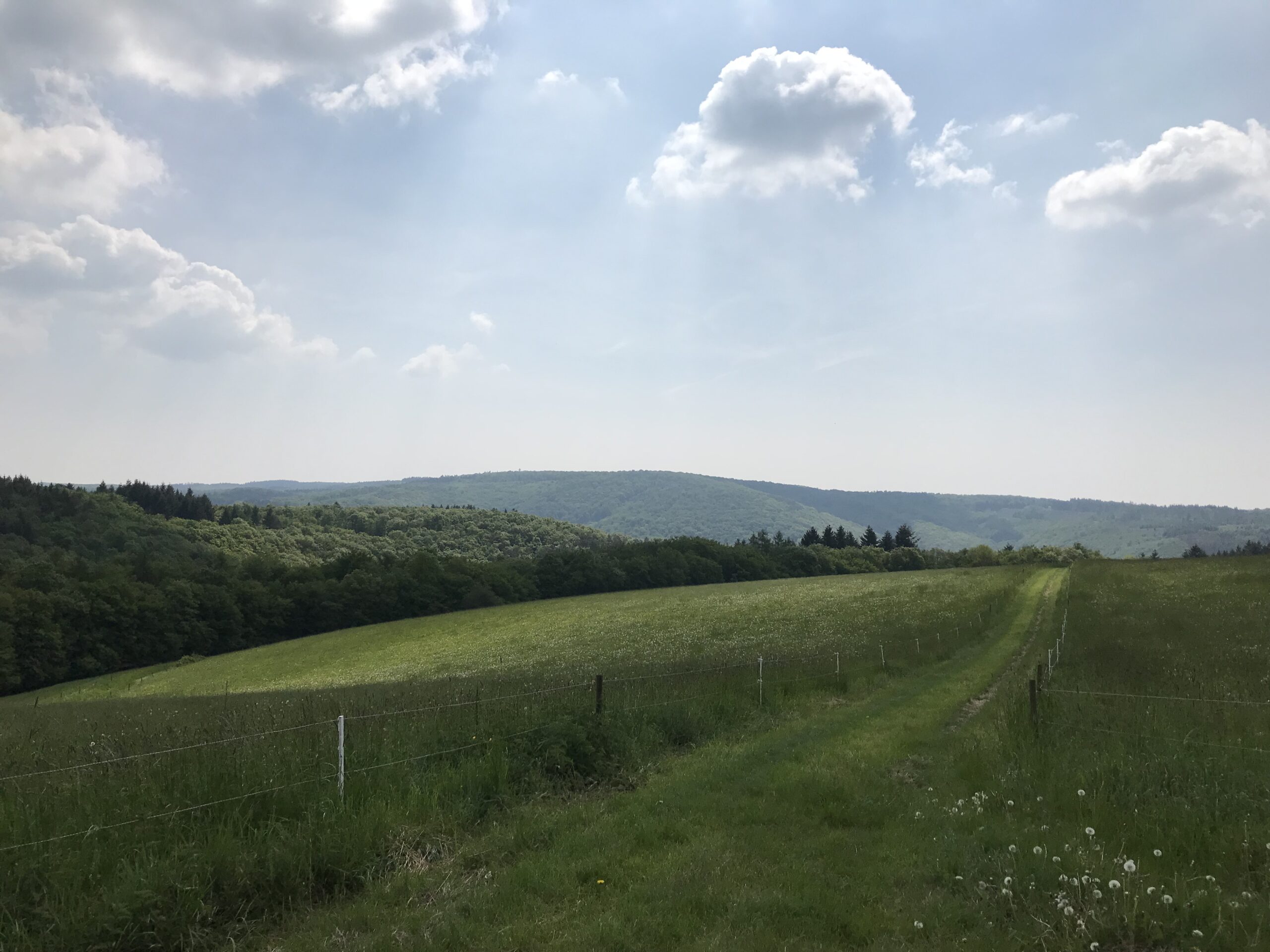 WisperTrail Wanderung bei tollen Sonnenschein
